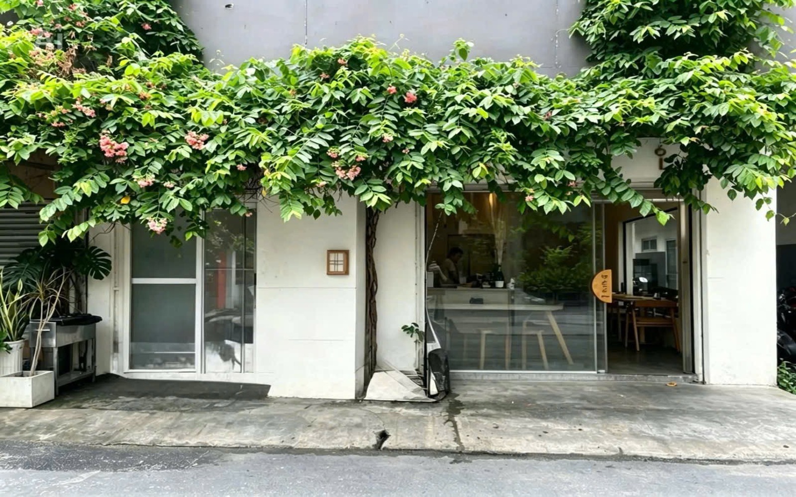 Vọng exterior